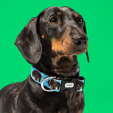 Load image into Gallery viewer, Your Dog Collar