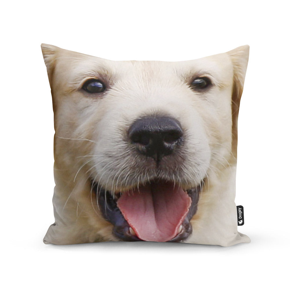 Your Dog Face Splat Cushion