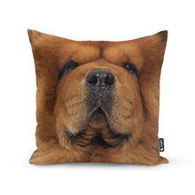 Load image into Gallery viewer, Your Dog Face Splat Cushion