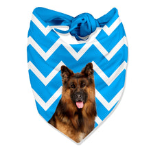 Load image into Gallery viewer, zig zag personalised dog bandana