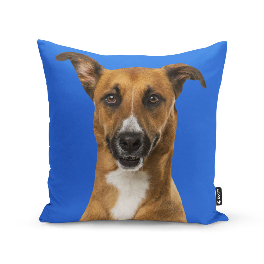 Personalised Dog Cushion