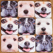 Load image into Gallery viewer, Dog Face Coasters