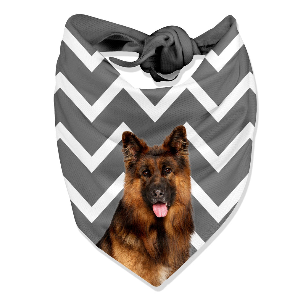 Zigzag Dog Bandana