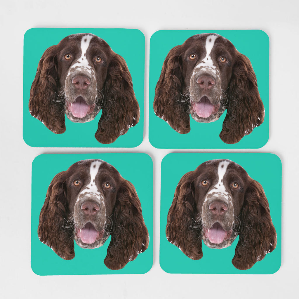 Your Dog Coasters