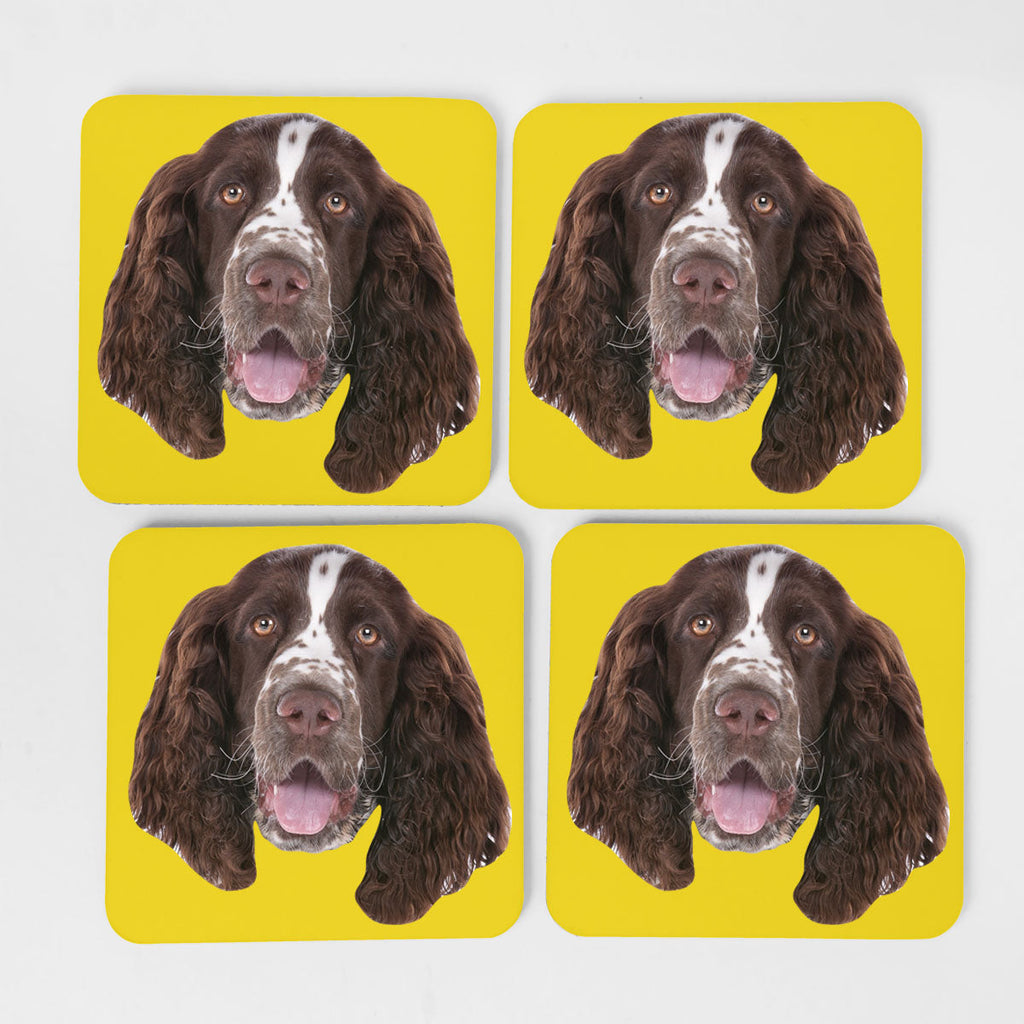 Your Dog Coasters