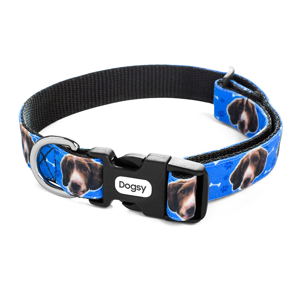 Your Dog Collar