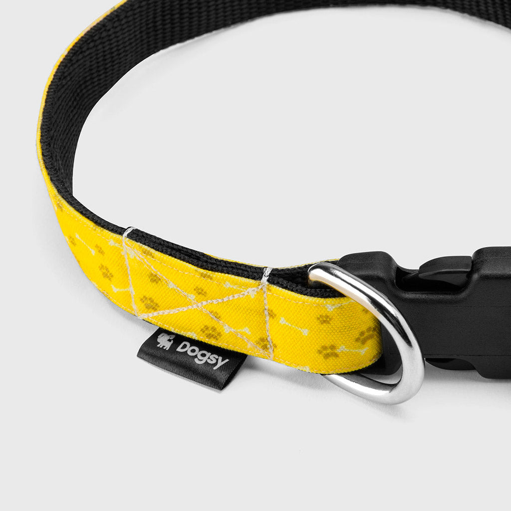 Your Dog Name Collar