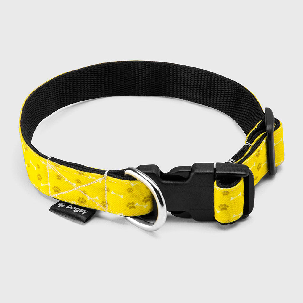 Your Dog Name Collar