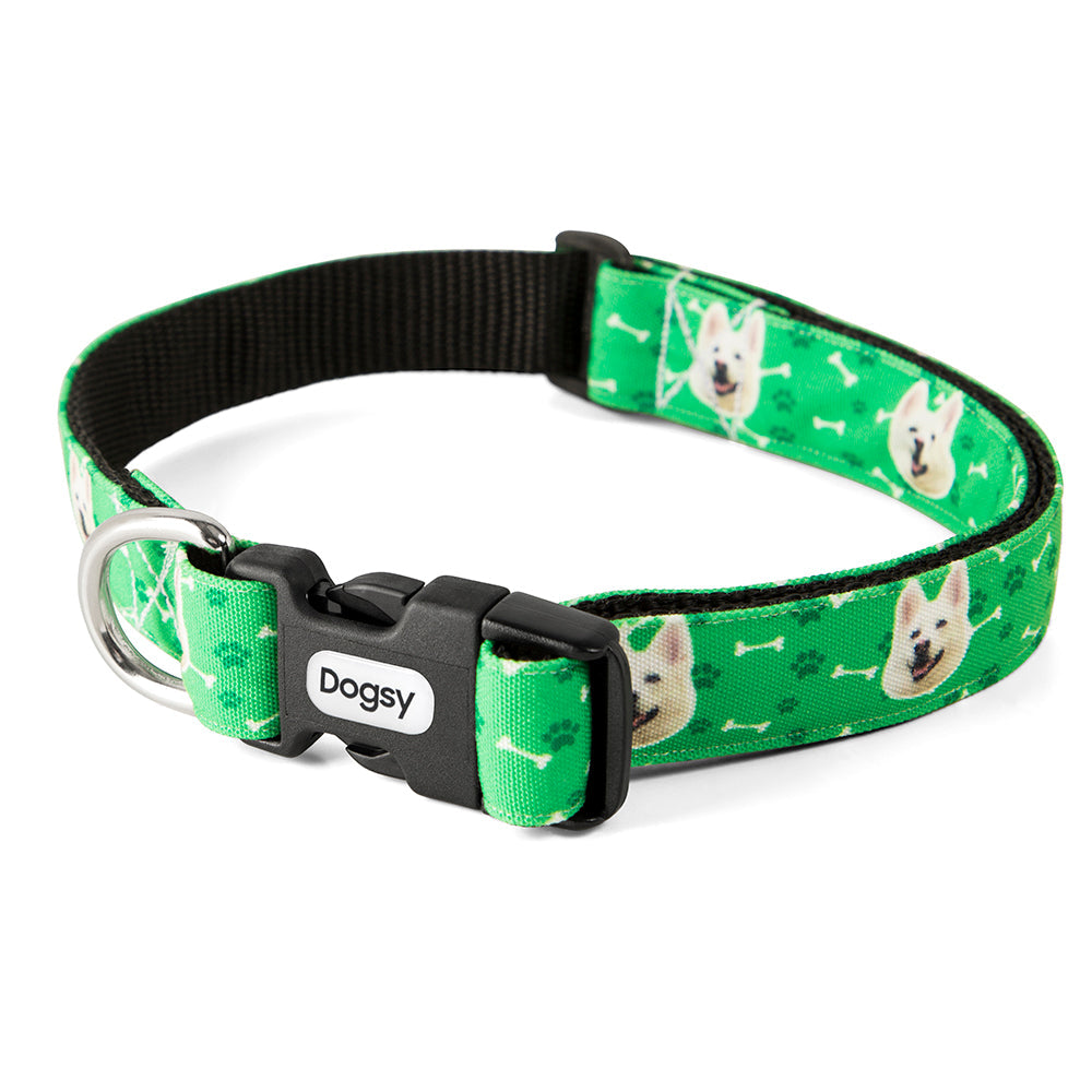 Your Dog Collar