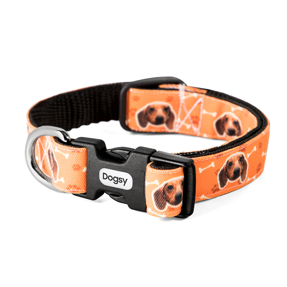 Your Dog Collar