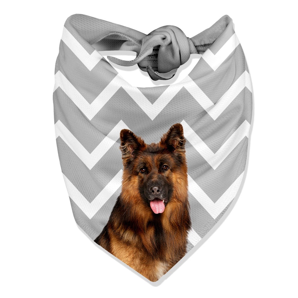 Zigzag Dog Bandana