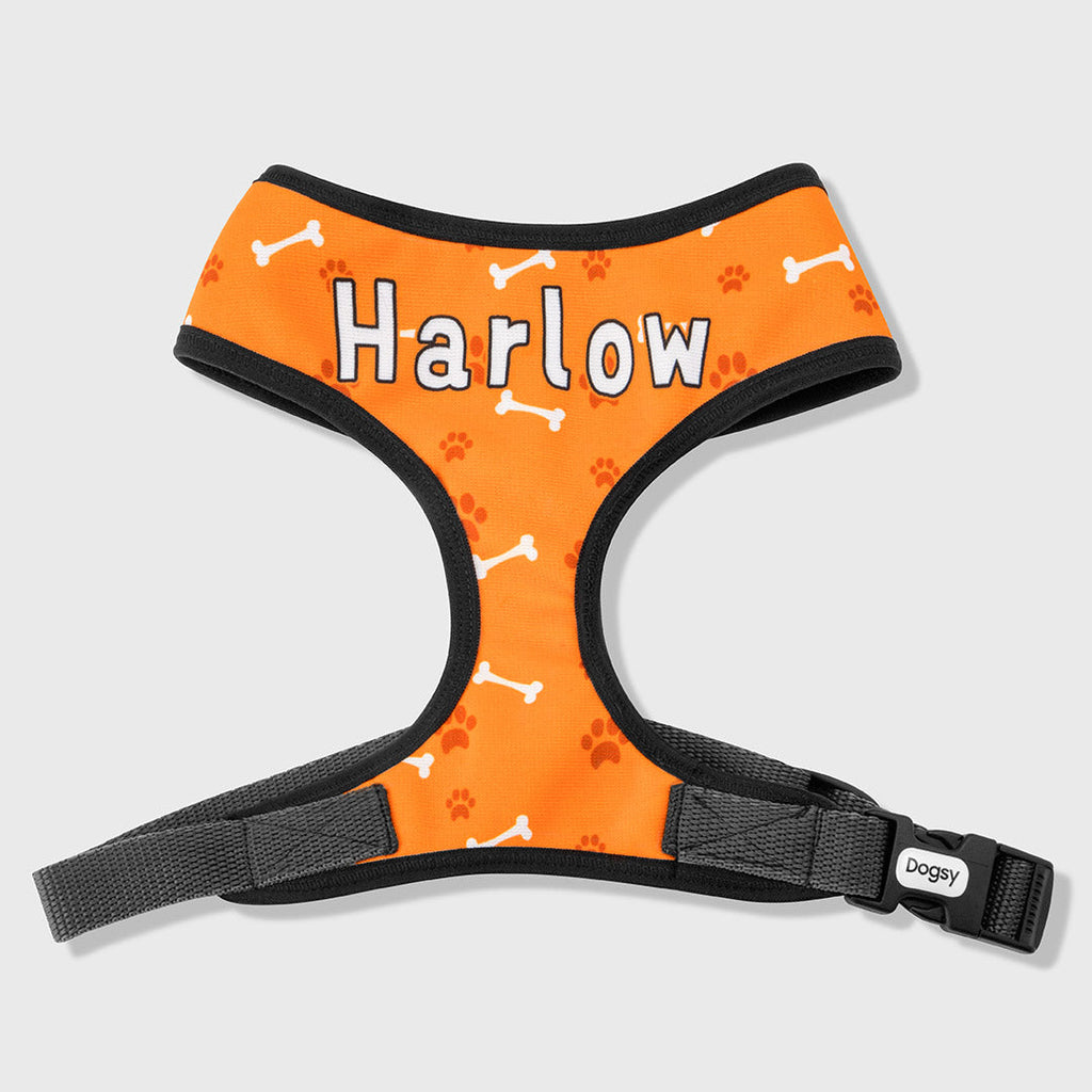 Your Dog Name Harness