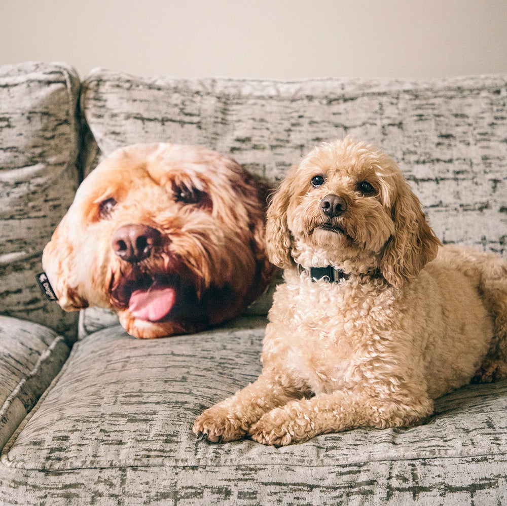 Your Dog Cushion