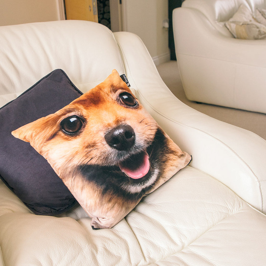 Your Dog Face Splat Cushion