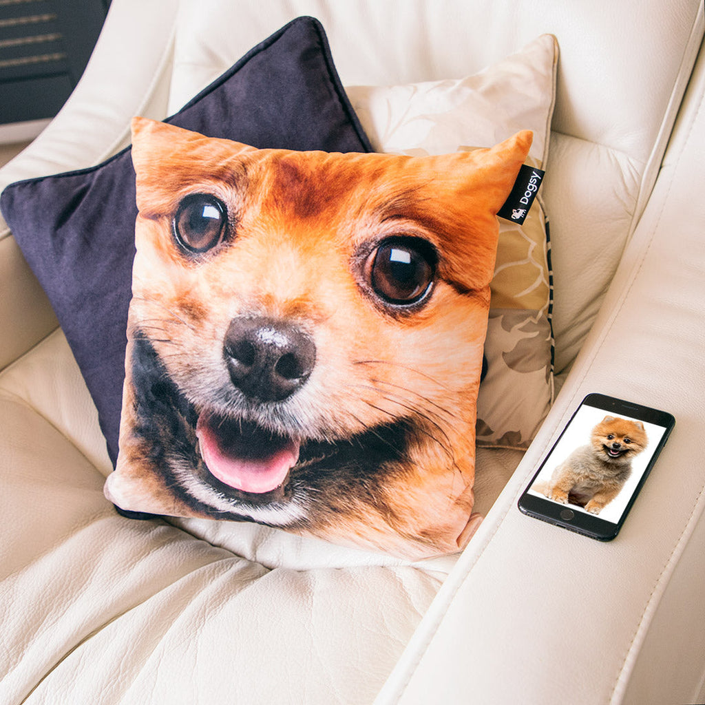 Your Dog Face Splat Cushion