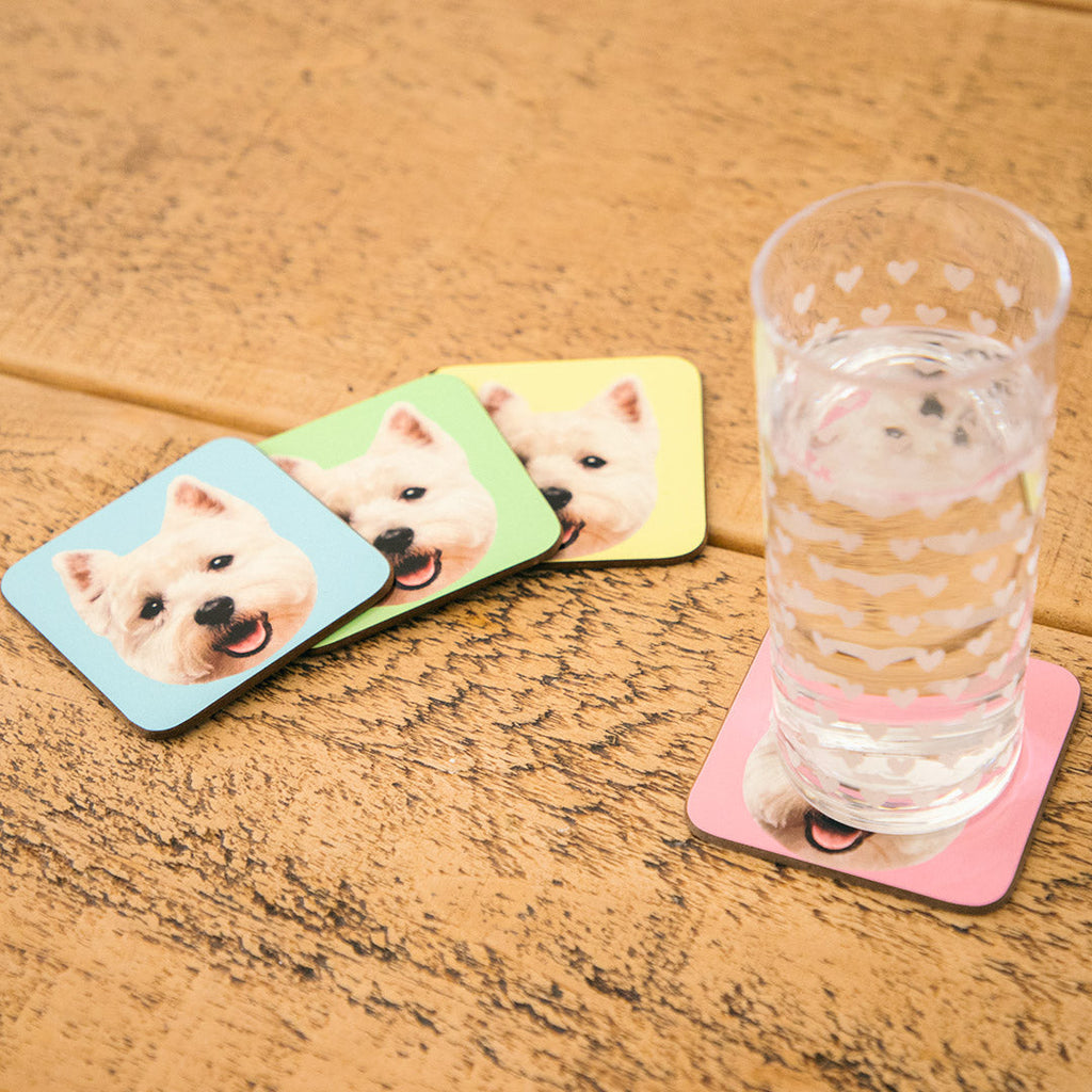 Your Dog Coasters - Colour Sets