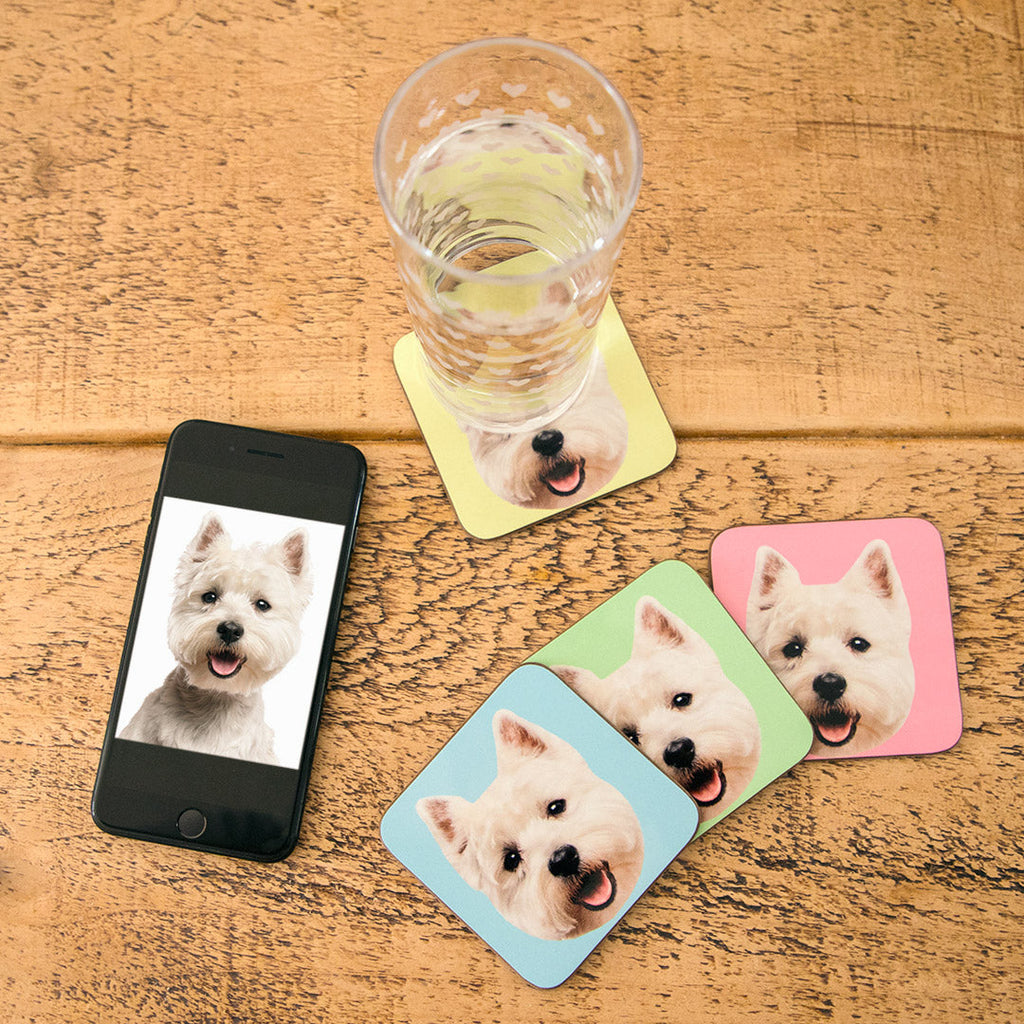 Your Dog Coasters - Colour Sets