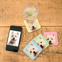 Load image into Gallery viewer, Your Dog Coasters - Colour Sets