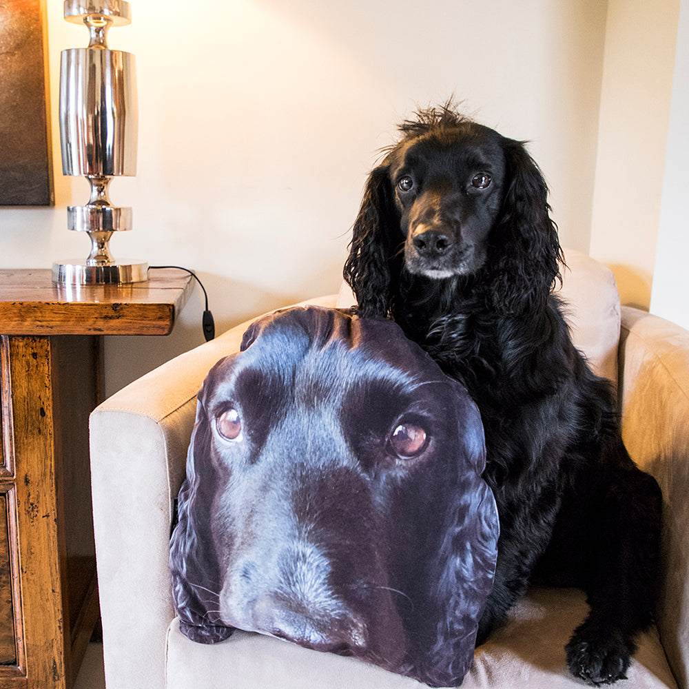 Your Dog Cushion