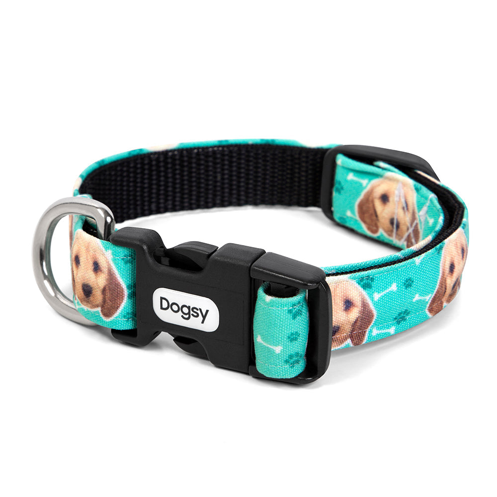 Your Dog Collar