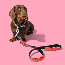 Load image into Gallery viewer, Your Dog Collar and Lead Set