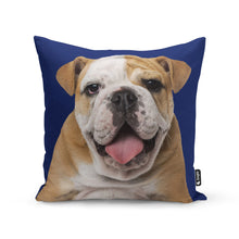 Load image into Gallery viewer, Dogs Photo On A Cushion