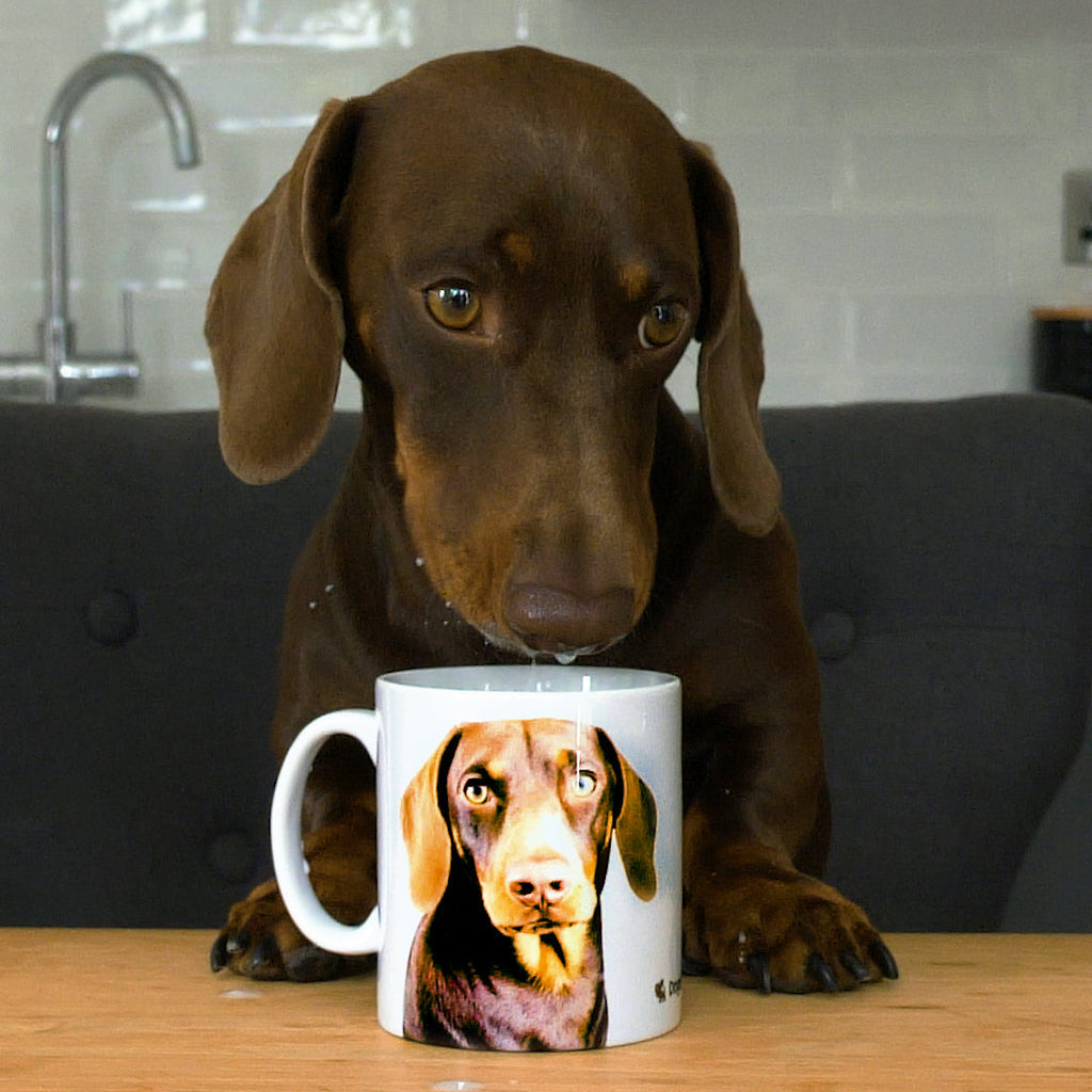 Your Dog Mug