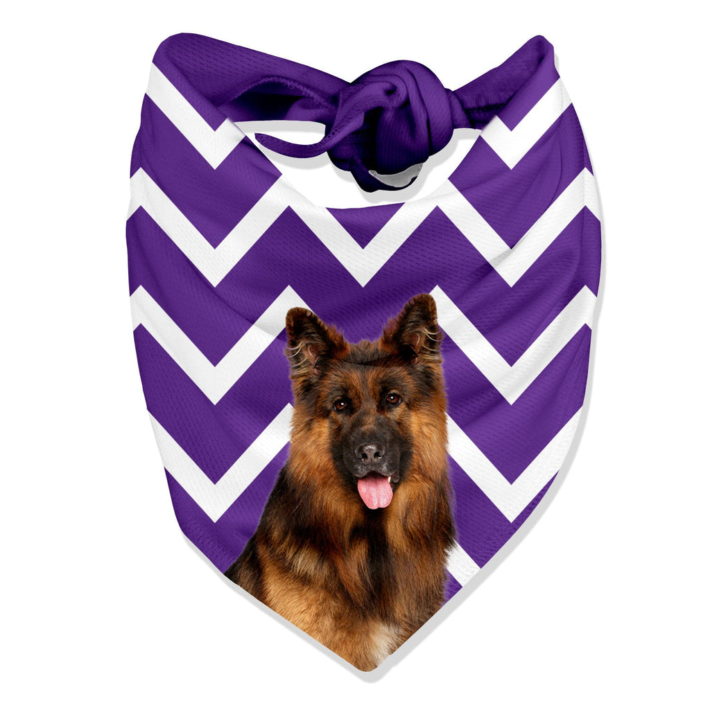 Zigzag Dog Bandana