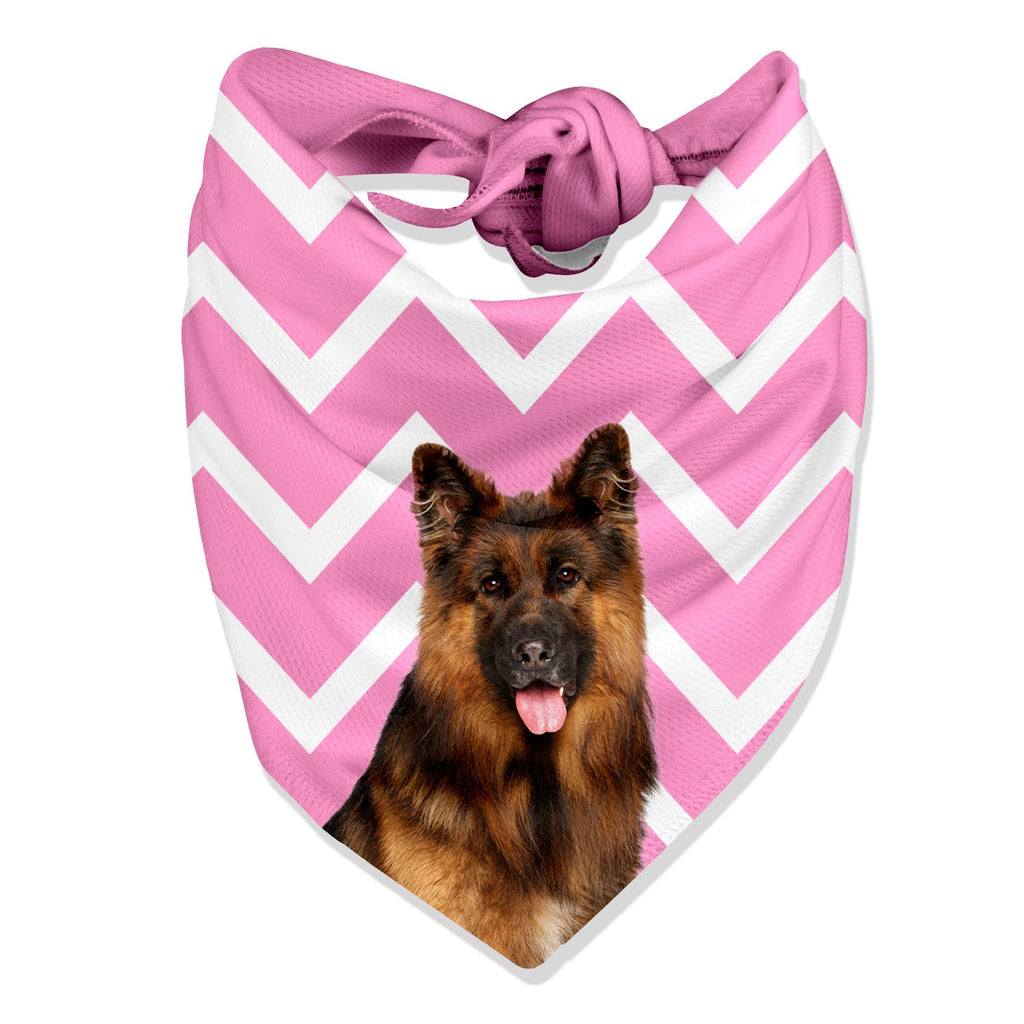 Zigzag Dog Bandana