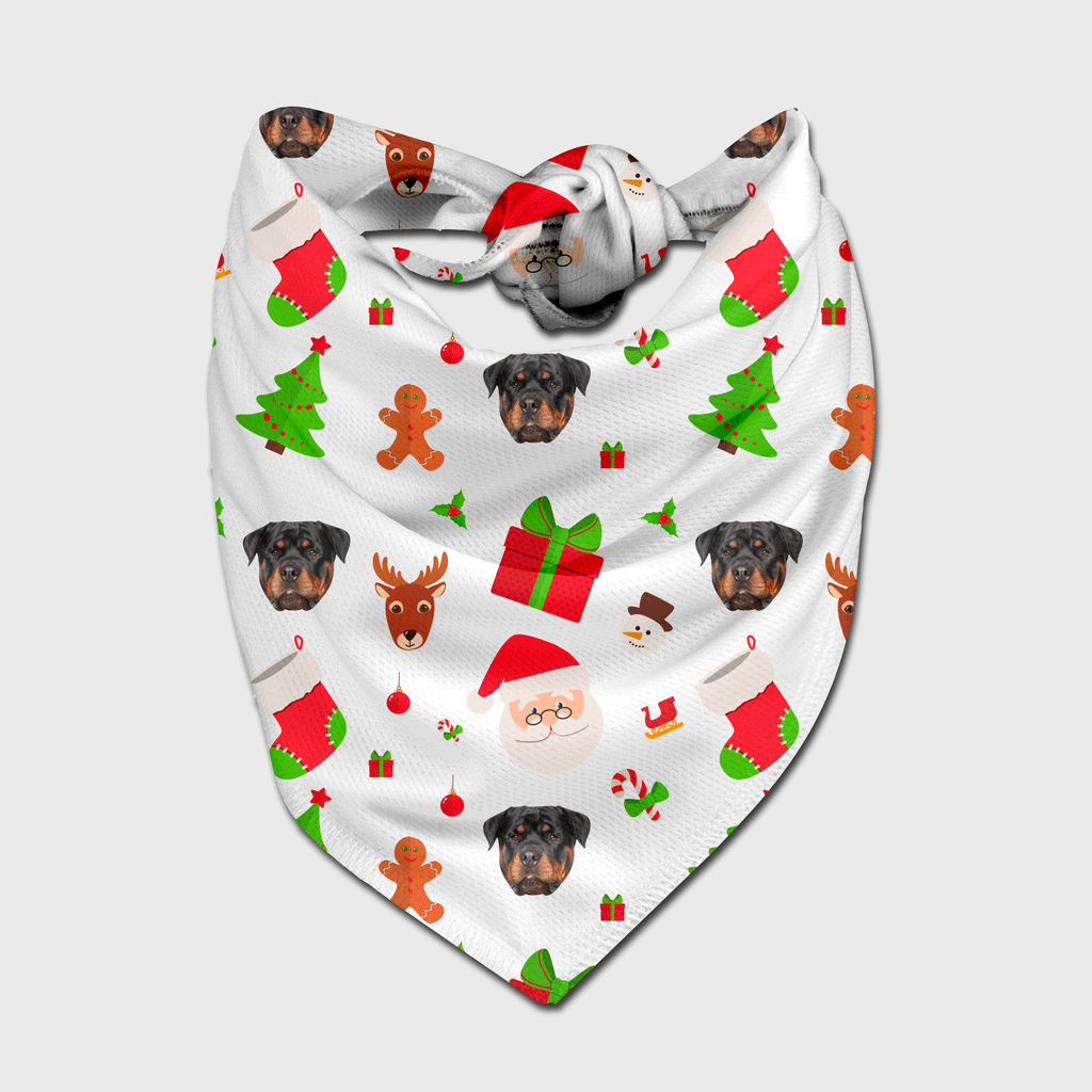 Christmas Reindeer Dog Face Bandana