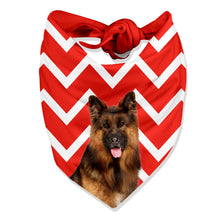 Load image into Gallery viewer, zig zag dog bandana