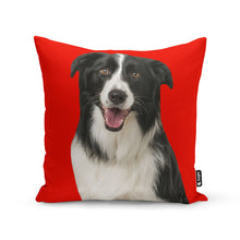 Load image into Gallery viewer, Personalised Dog Cushion