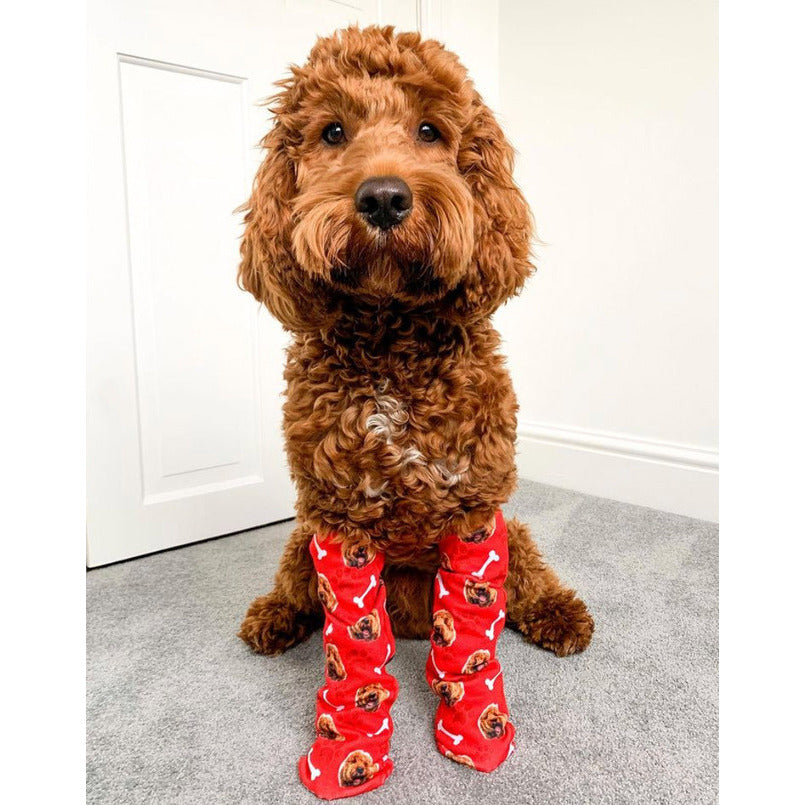 Your Dog on Socks