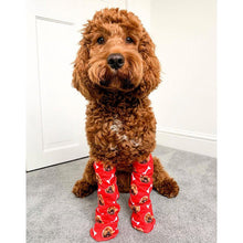 Load image into Gallery viewer, Your Dog on Socks