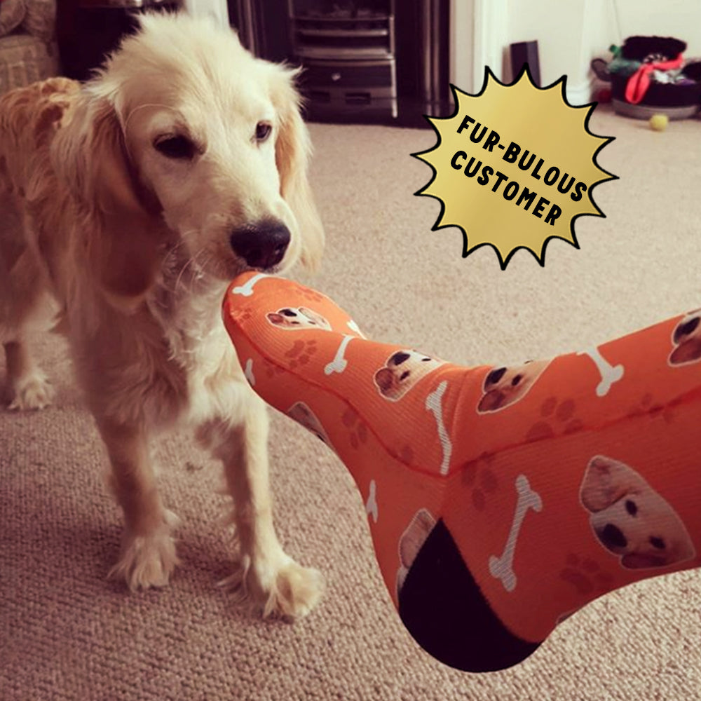 Your Dog on Socks