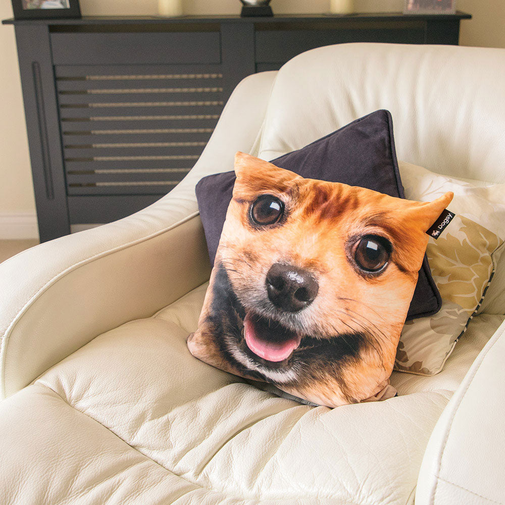 Your Dog Face Splat Cushion