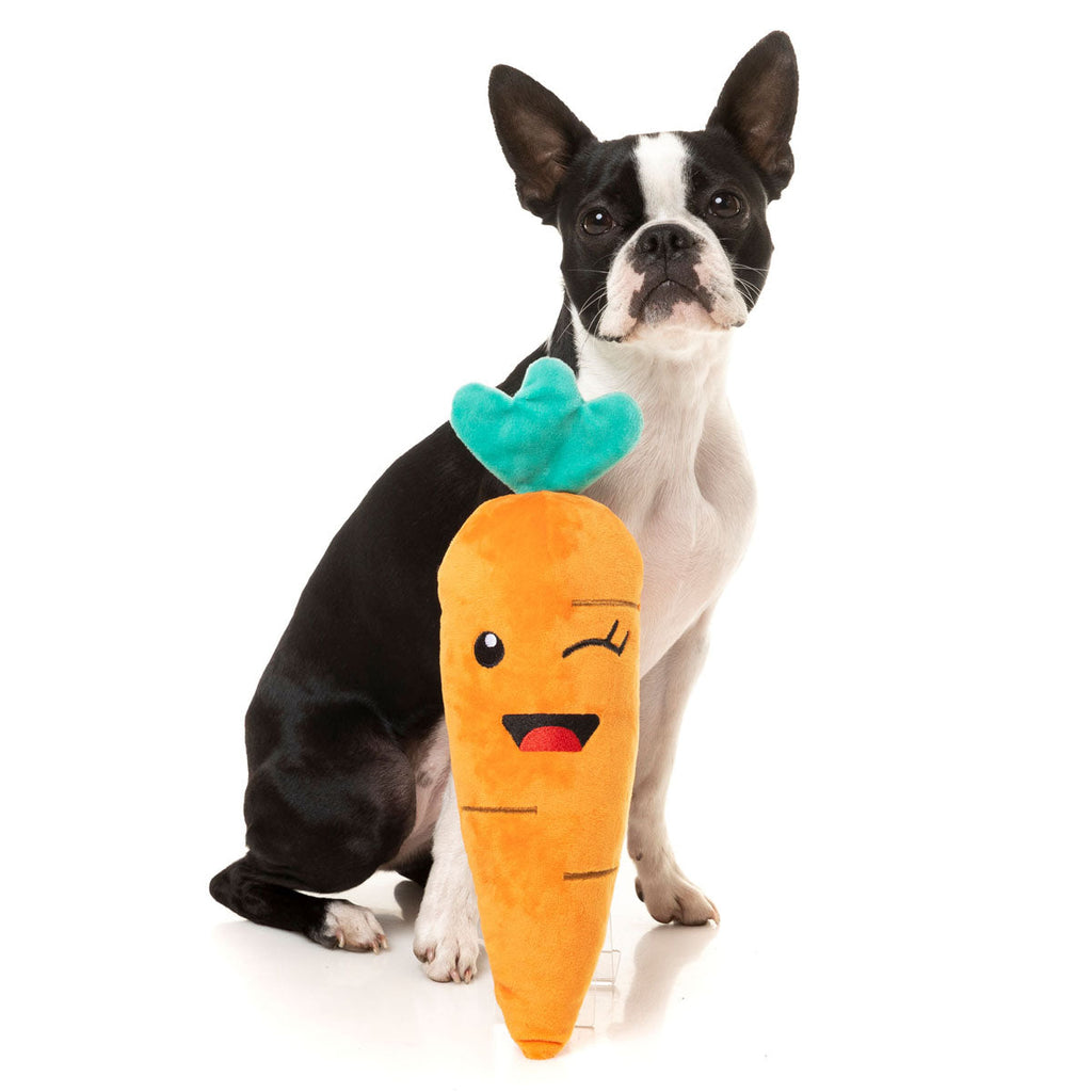 Winky Carrot Dog Toy