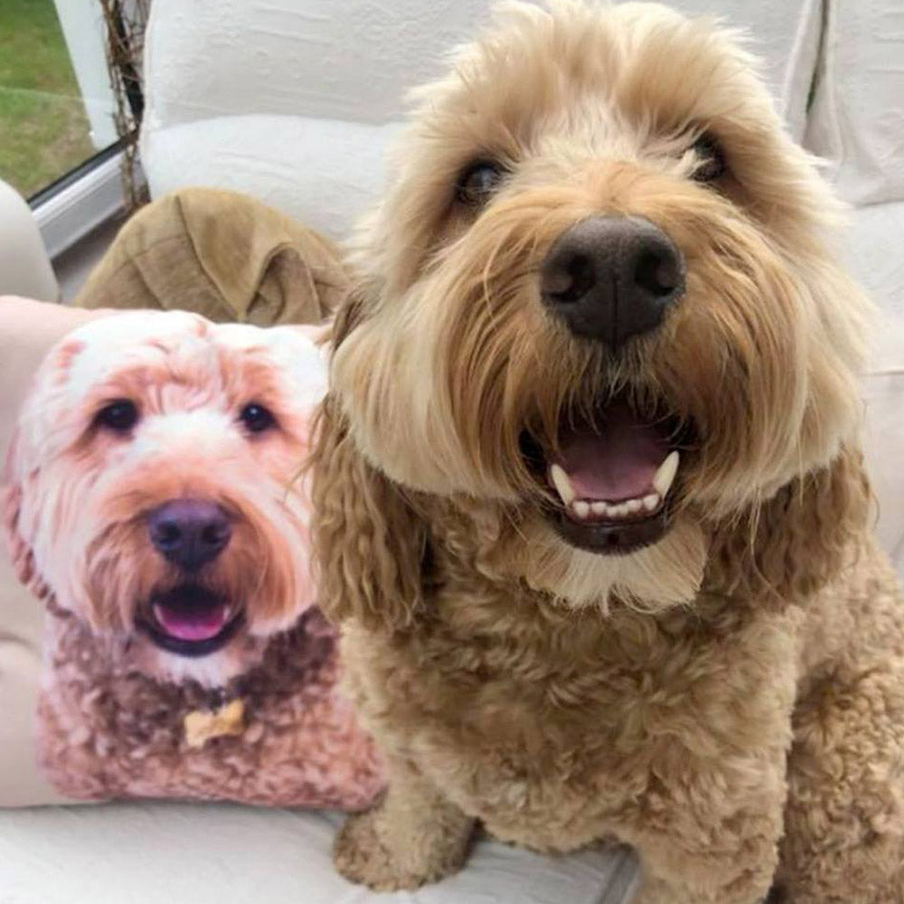 Your Dog Cushion