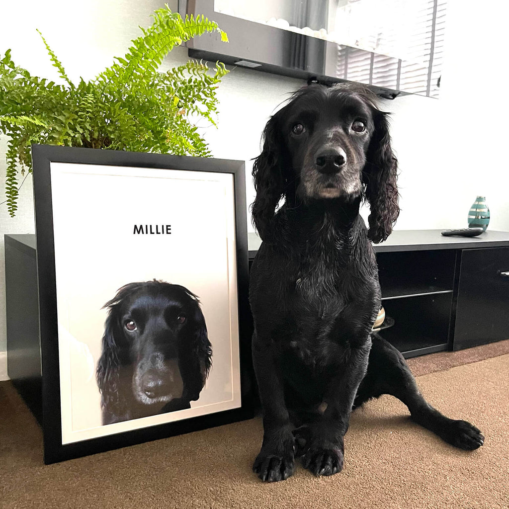 Custom Dog Portrait