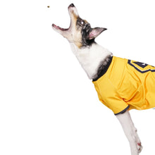 Load image into Gallery viewer, Wolves Dog Shirt