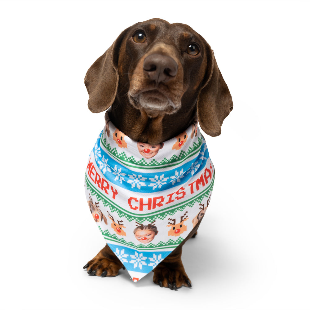 Dog & Owner Merry Christmas Dog Bandana