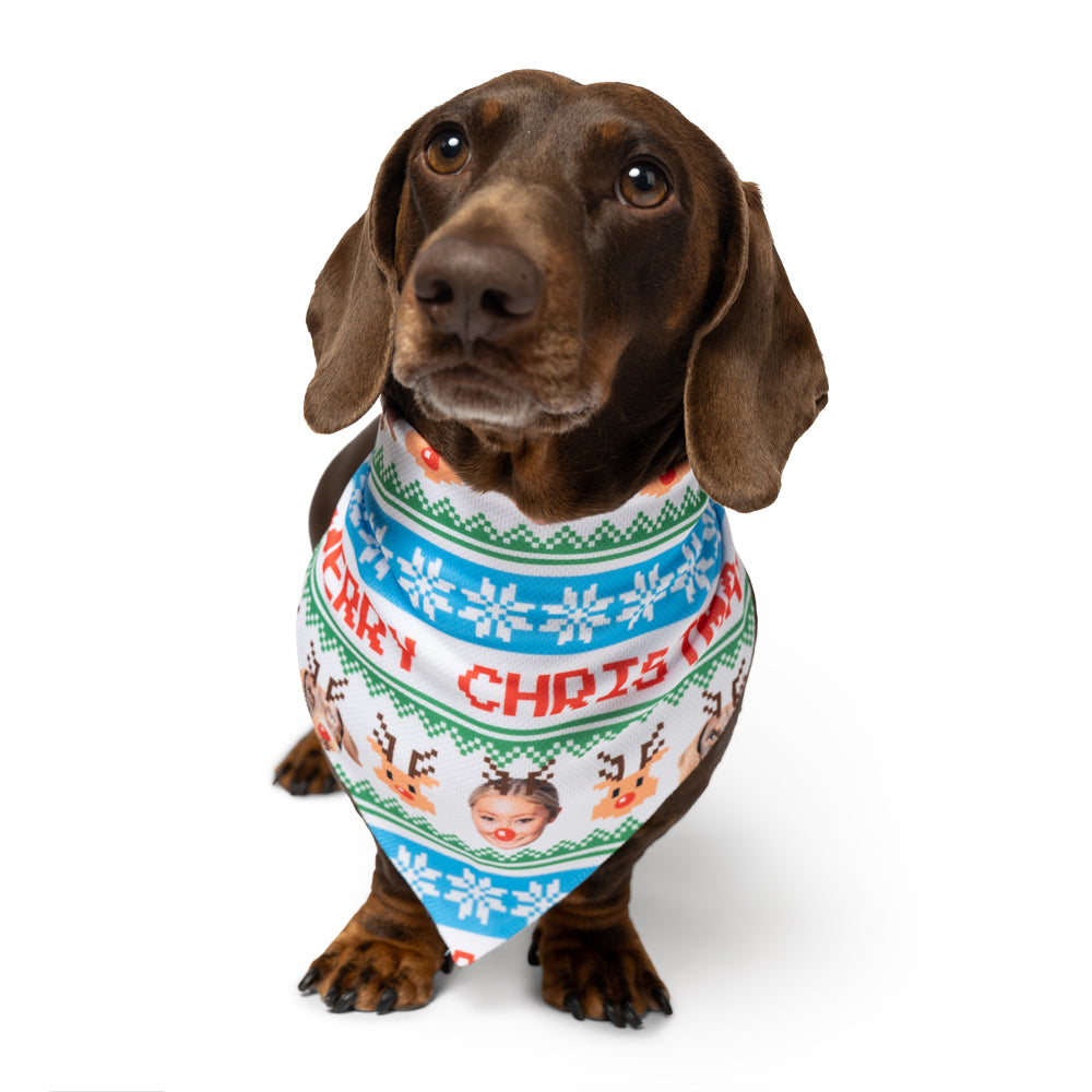 Dog & Owner Merry Christmas Dog Bandana