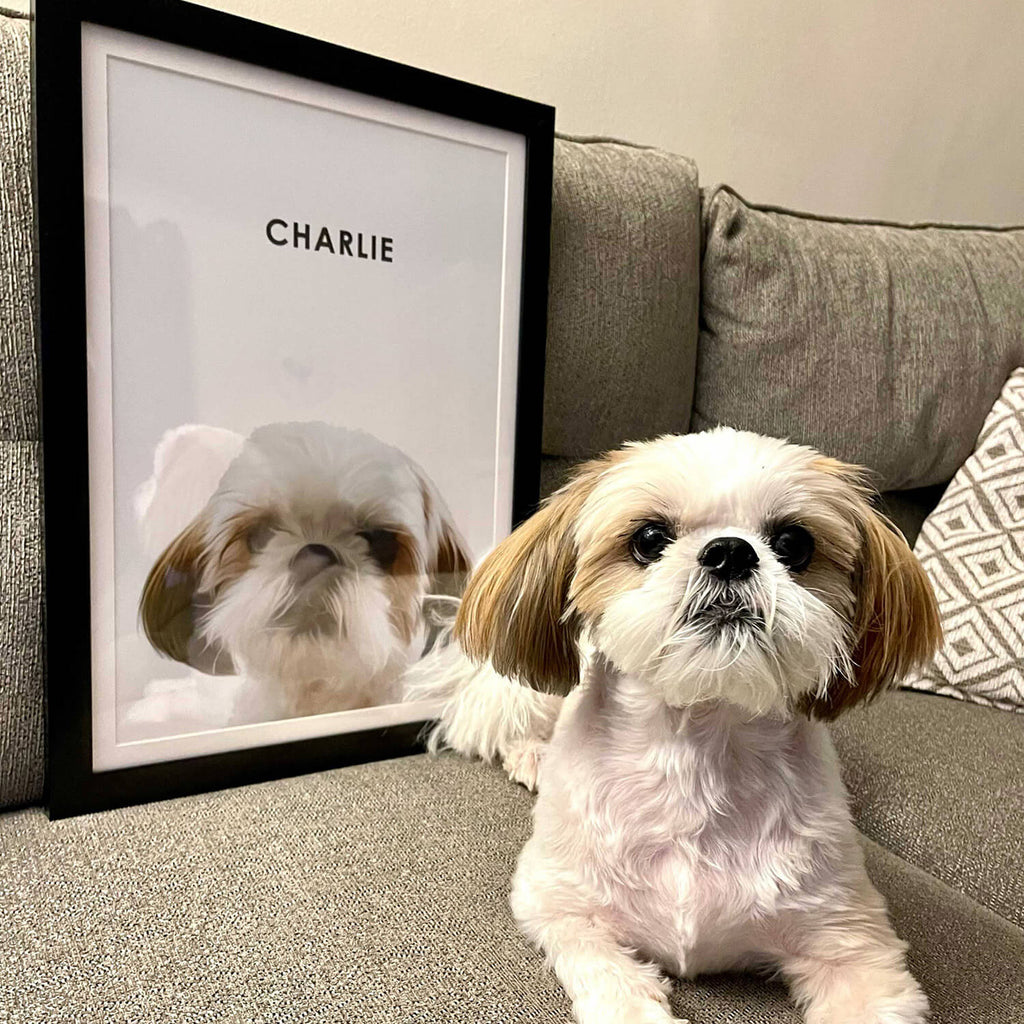 Custom Dog Portrait